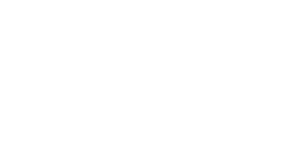 Bogner